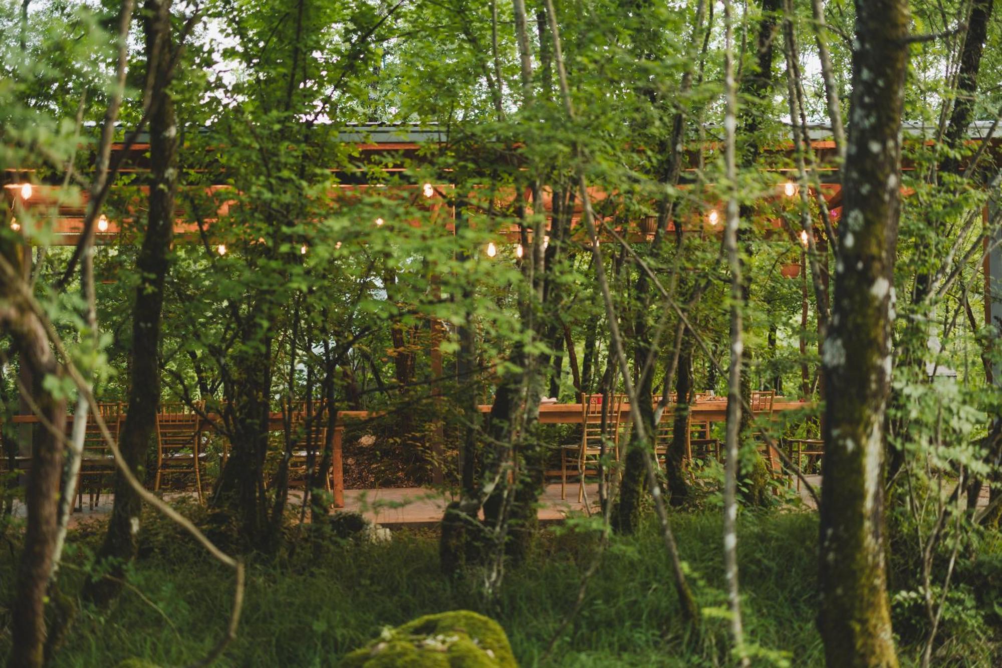 Vukova Dolina Apartments Cetinje Exterior foto
